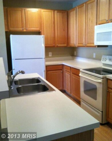 42212 Terrazzo Terrace unit 403, Stone Ridge, VA 20105 - photo 7