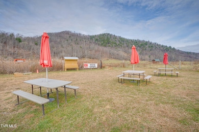 4020 Roan Creek Rd unit 1, Mountain City, TN 37683 - photo 5