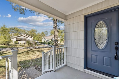 110 Dabbs Ave, Bessemer, AL 35023 - photo 3