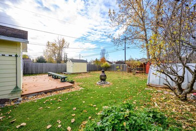 back yard