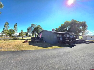 20020 Kenosha Rd, Austin, CO 81410 - photo 2