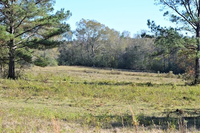 ... Hwy 98 and Pike 93 Central, McComb, MS 39648 - photo 3