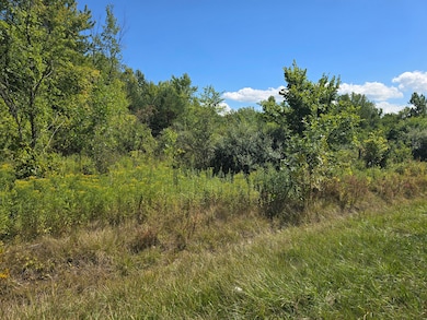 0 E Hwy 212 unit NRA826868, Michigan City, IN 46360 - photo 2