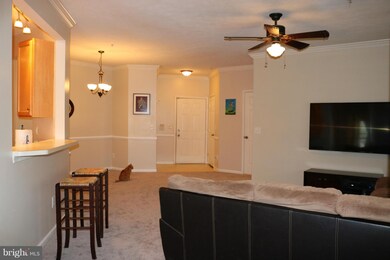 2507 Amber Orchard Ct W unit 101, Odenton, MD 21113 - photo 6