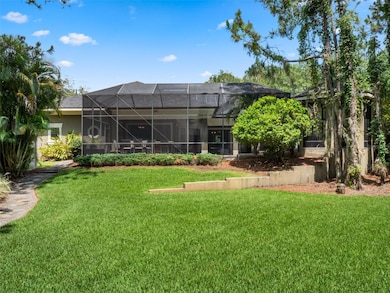 Lush Back Yard