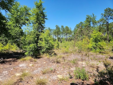 lot 5 SW 64th Ln, Ocala, FL 34481 - photo 5