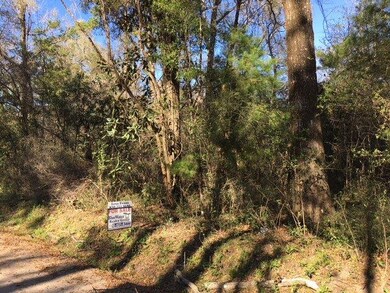 XXX Renegade Rd, Crawfordville, FL 32327 - photo 3