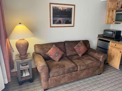 6 Emmons Rd unit 269, Crested Butte, CO 81225 - photo 4