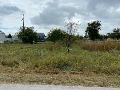 218 Shawnee Trail, Weatherford, TX 76087 - photo 3