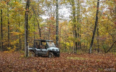 2 Lodge Rd, Bourbon, MO 65441 - photo 7