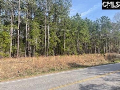 W/S Rabon Rd, Columbia, SC 29223 - photo 2