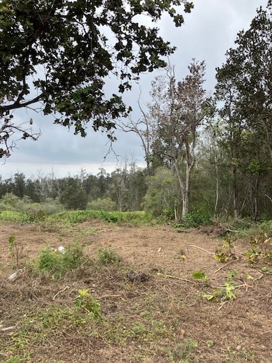 0 Catamaran Ln unit 723953, Ocean View, HI 96737 - photo 2