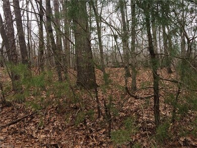 0 Rosemont Rd unit 961174, Asheboro, NC 27203 - photo 5