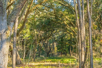 Property Oaks