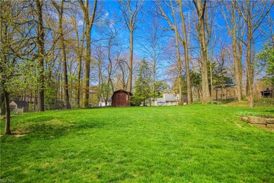 Nice large backyard