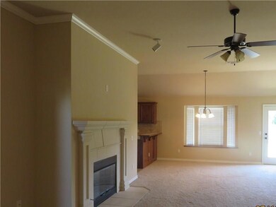 920 Accipiter St, Norman, OK 73072 - photo 4