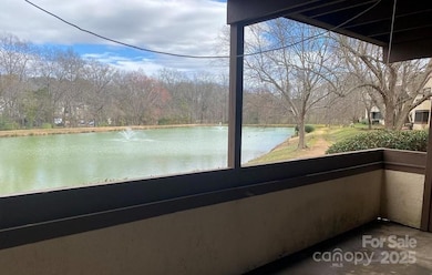 5718 Dockside Dr unit 102, Charlotte, NC 28227 - photo 3