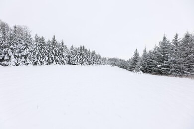 18 AC Solem Lake Rd SW, Kensington, MN 56343 - photo 5