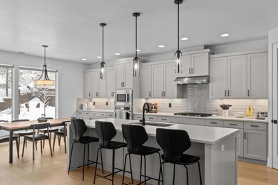 37-web-or-mls-DSC05926