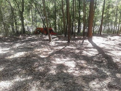 Home Site