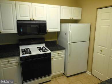 20271 Beechwood Terrace unit 103, Ashburn, VA 20147 - photo 6