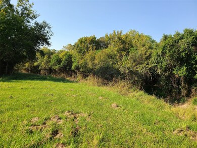 0 Nichols - Fm 2668 Ave unit 85728015, Bay City, TX 77414 - photo 4