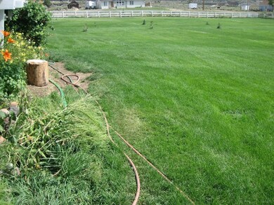Backyard lawn-owner pic