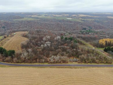 55305 Stoney Point Rd, Seneca, WI 54654 - photo 6