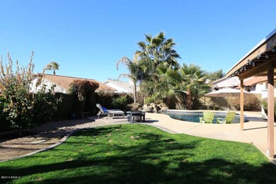 Backyard (2)