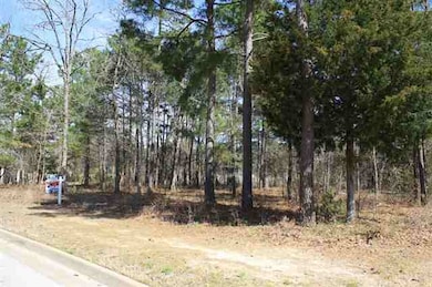 3045 Stonegate Blvd, Tyler, TX 75703 - photo 5