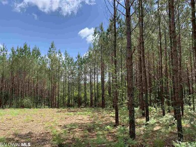 31810 Happy Hollow Rd, Robertsdale, AL 36567 - photo 4