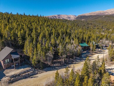 421 N Aspen St unit 6, Alma, CO 80420 - photo 5