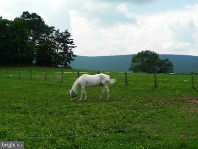 201 Middle Rd, Hegins, PA 17938 - photo 2