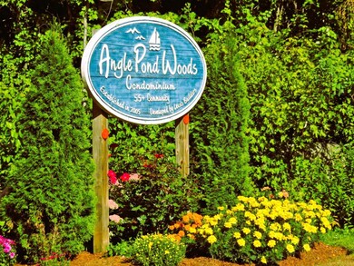 16 Autumn Ln unit C, East Hampstead, NH 03826 - photo 2