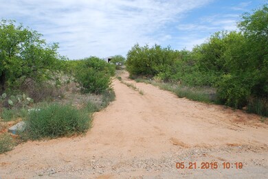 WEST DRIVEWAY