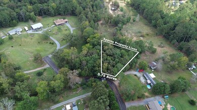 0 Charlie Walls Rd, Chatsworth, GA 30705 - photo 2