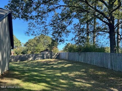Back Yard 2