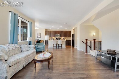 Living room featuring dark wood-type flooring