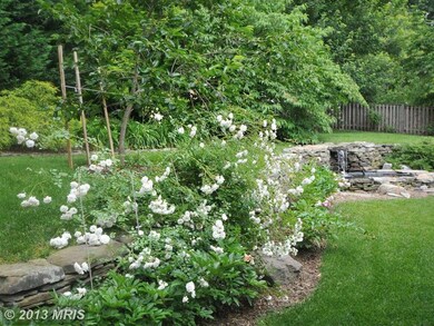 7116 Park Terrace Dr, Alexandria, VA 22307 - photo 6