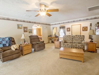 1050 W Woodland Park Dr, Bitely, MI 49309 - photo 5