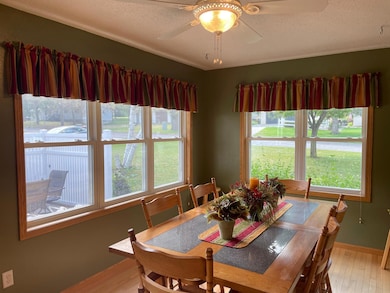 313 Alex Moore St, Sauk Centre, MN 56378 - photo 6