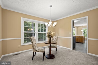 14510 Idlebrook Ct, Manassas, VA 20112 - photo 7