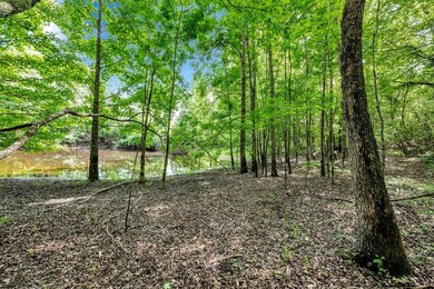LOT 3 Shoreside at Sipsey, Double Springs, AL 35553 - photo 3