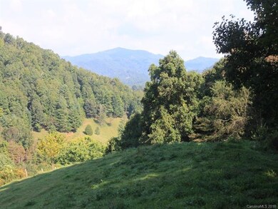 0 Duncan Rd, Jacks Creek, NC 28714 - photo 6