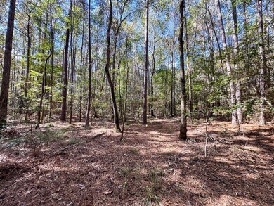 Mendez Rd, Willis, TX 77378 - photo 4