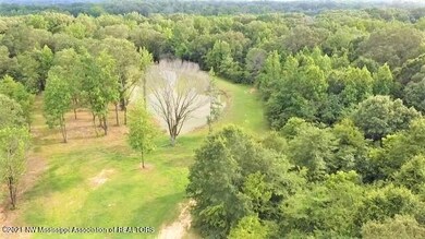10 Acres - Bolin - Aerial 1