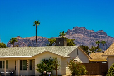 14th Ave Mountains 2