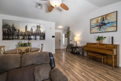 cat-living-room-5a9681-copy-2