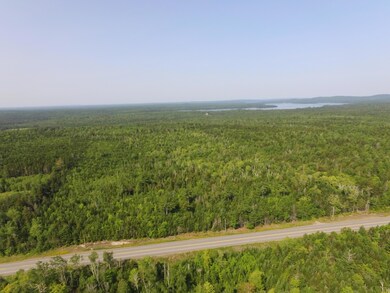 View with Boyden Lake in the distance