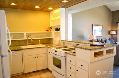 100 Lake Chelan Shores Dr unit 10-5, Chelan, WA 98816 - photo 4